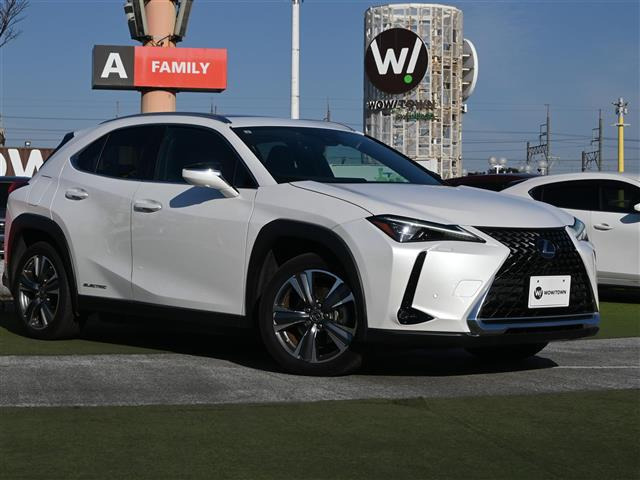 UX300e バージョンL本革シート サンルーフ