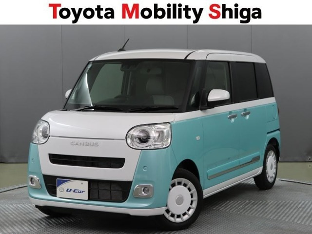 ムーヴキャンバス  ストライプス G