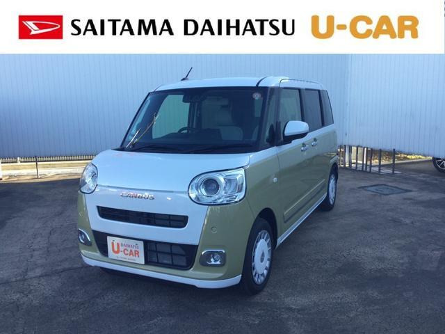 ムーヴキャンバス  ストライプス G