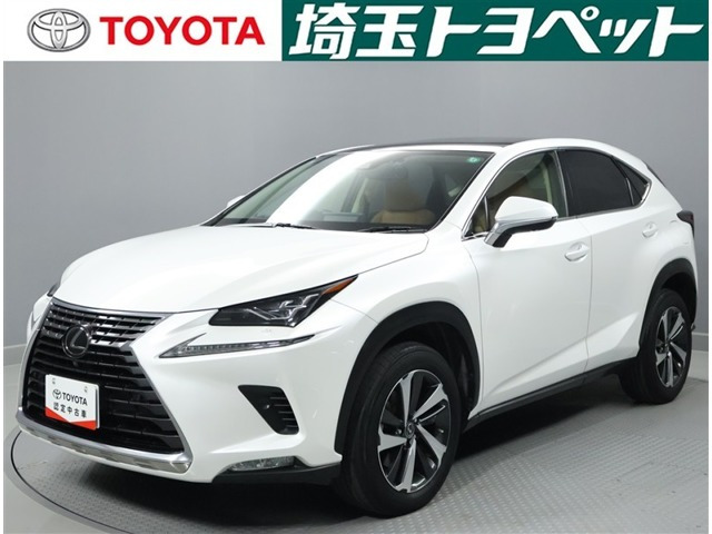 NX300 Iパッケージ 4WD