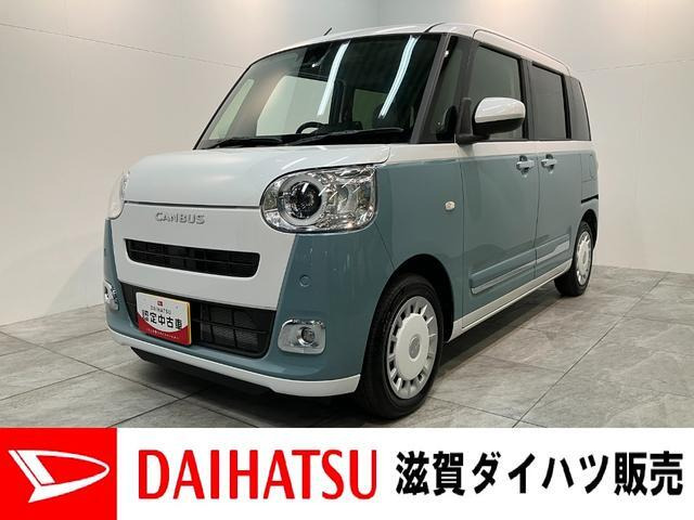 ムーヴキャンバス  ストライプス G