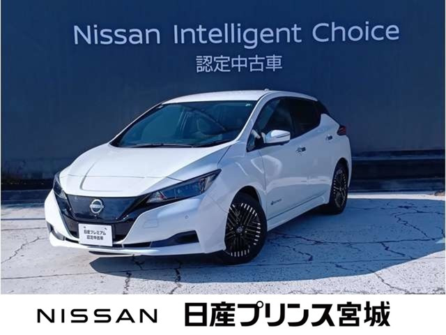 リーフ  X Vセレクション