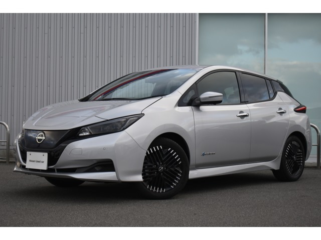 リーフ  X Vセレクション