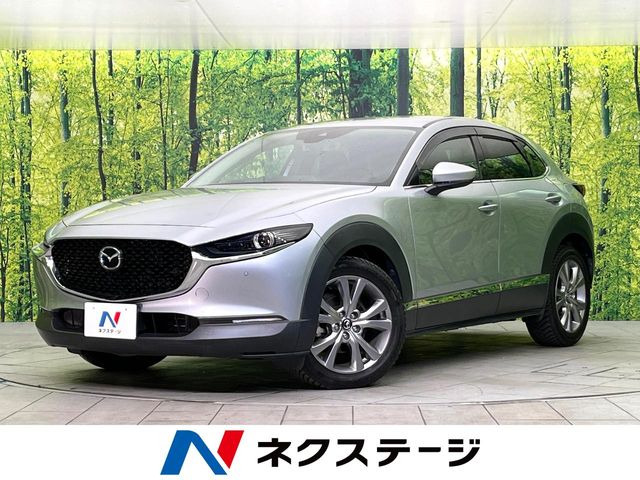 CX-301.8 XD プロアクティブ