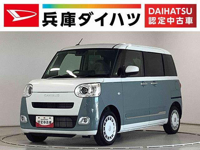 ムーヴキャンバスストライプス G