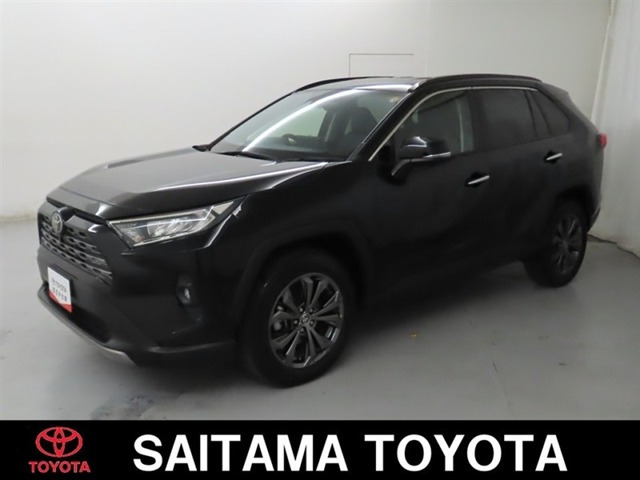 RAV4 2.0 G 4WD（6BA-MXAA54）