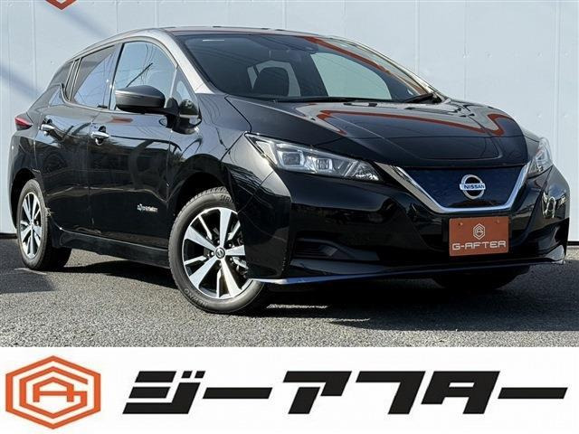 リーフ e+ X 禁煙車 ツートンルーフ 純正9インチナビ