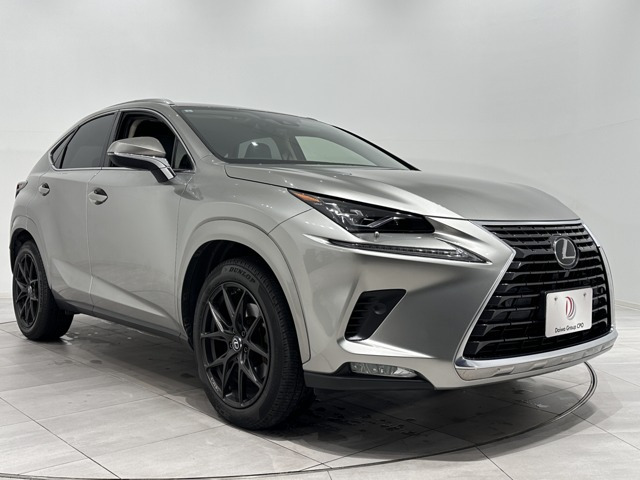 NX300 バージョンL 4WD