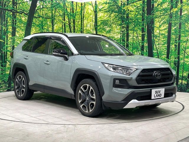 トヨタ RAV4 アドベンチャー の中古車詳細 (64,920km, アッシュ