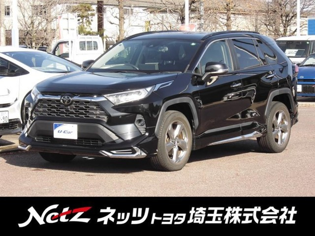 RAV4 2.0 G 4WD（6BA-MXAA54）