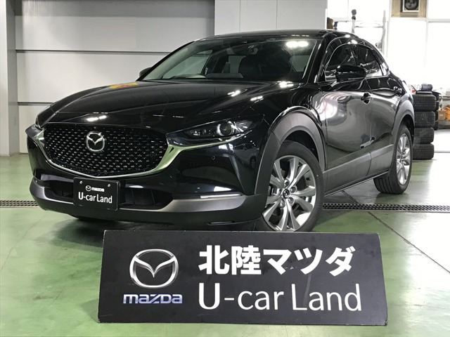 CX-302.0 20S Lパッケージ 4WD