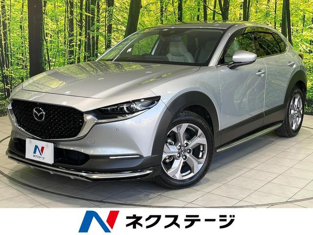 CX-302.0 X Lパッケージ
