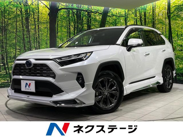 RAV4 2.5 ハイブリッド G E-Four 4WD （6AA-AXAH54）