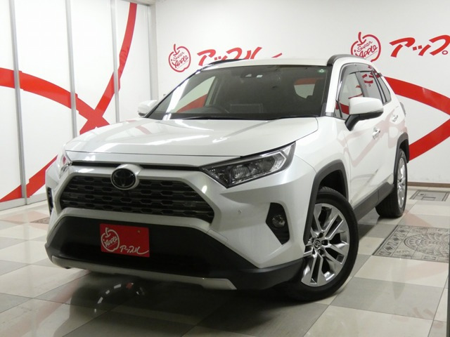 RAV4  2.0 G Zパッケージ 4WD