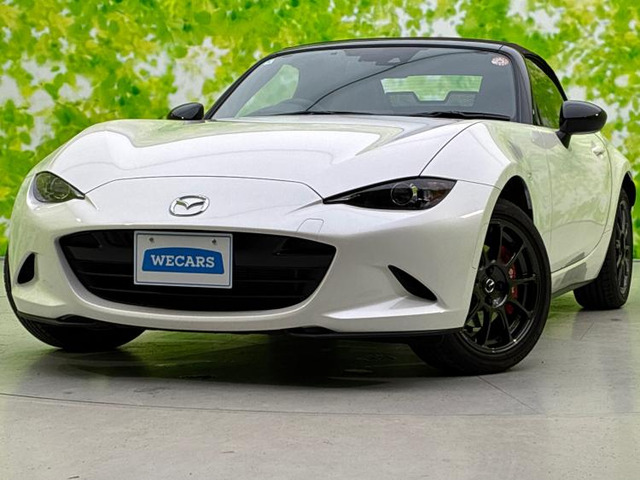 ロードスター1.5 ブラウン トップ