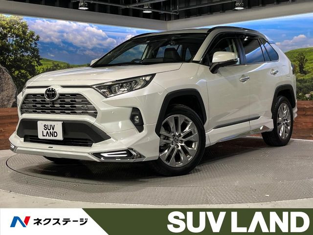 RAV4 2.0 G Zパッケージ 4WD （6BA-MXAA54）
