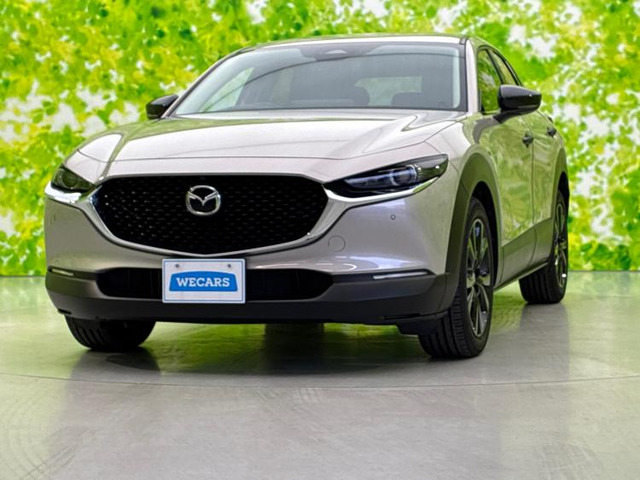CX-302.0 20S ブラックトーンエディション