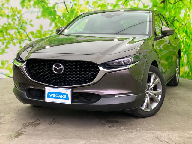 CX-302.0 20S プロアクティブ