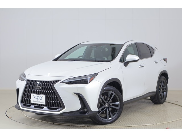 NX 250 バージョンL NX 250 バージョンL