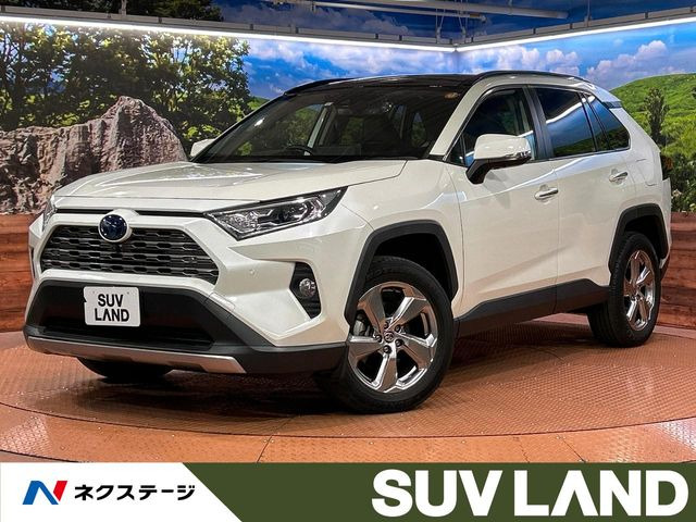 RAV4 2.5 ハイブリッド G E-Four 4WD （6AA-AXAH54）