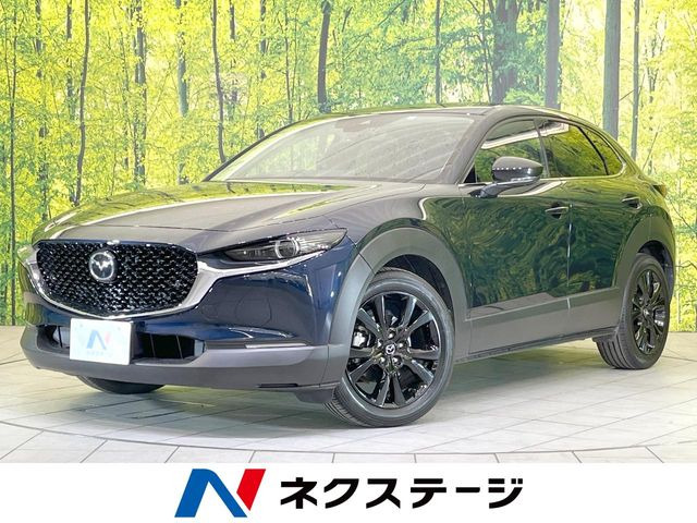 CX-301.8 XD ブラックトーンエディション