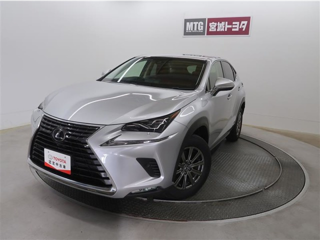 NX300h Iパッケージ 4WD