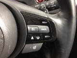 クルーズコントロールを装備しています。高速道路などで一定の速度で走ってくれるので運転が楽ですよ!速度を設定できますので、スピードの出しすぎにも注意できます。
