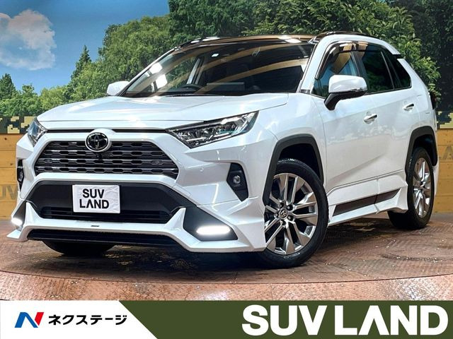 RAV4 2.0 G Zパッケージ 4WD （6BA-MXAA54）