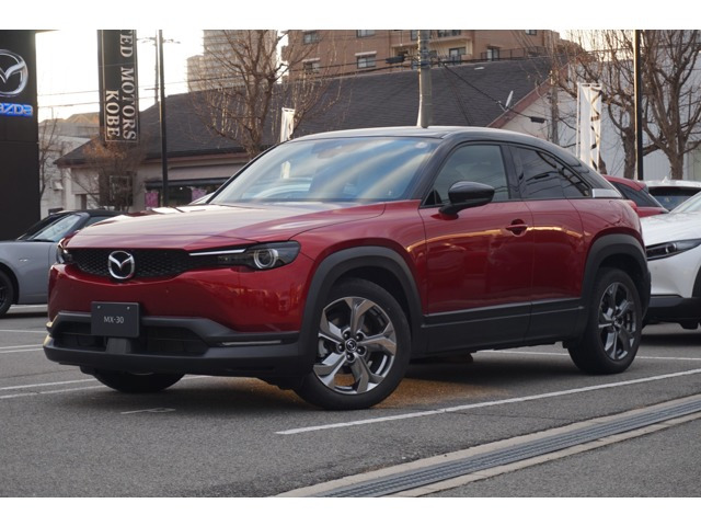 MX-302.0 モダン コンフィデンス