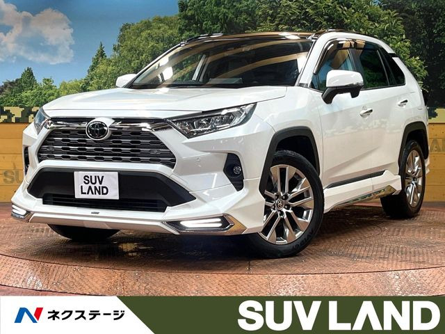 RAV4 2.0 G Zパッケージ 4WD （6BA-MXAA54）