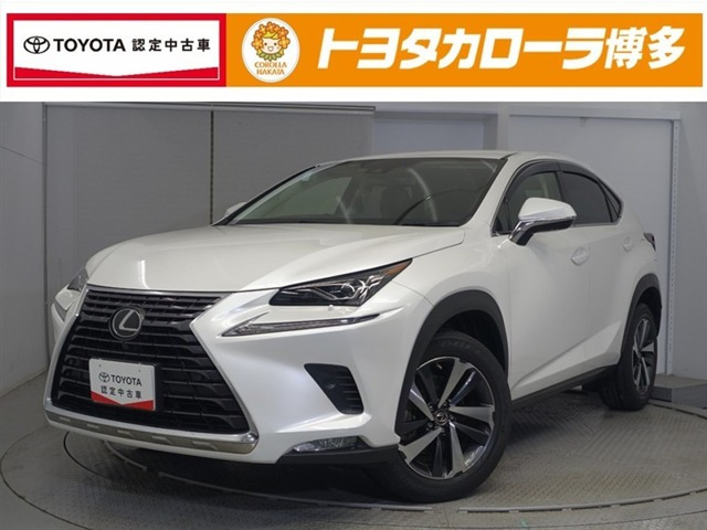 NX 300 Iパッケージ （DBA-AGZ10）