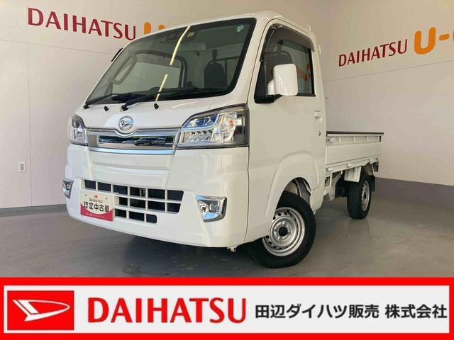 ハイゼットトラックエクストラ SAIIIt 4WD3方開