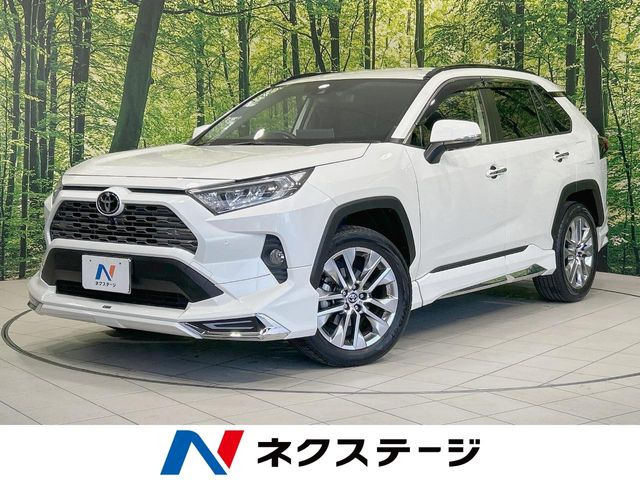 RAV4 2.0 G Zパッケージ 4WD （6BA-MXAA54）
