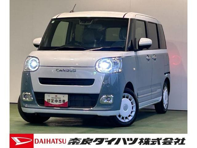 ムーヴキャンバス  ストライプス G