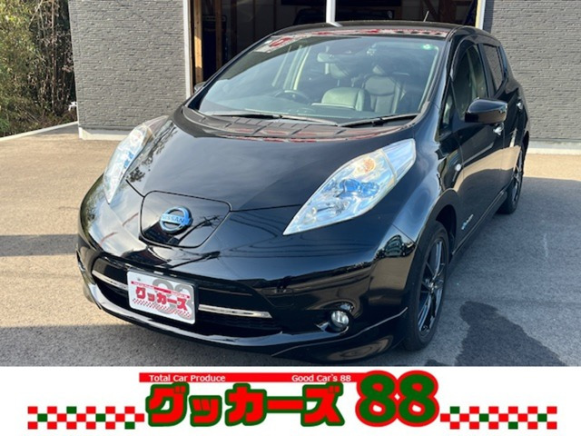 リーフ30kWh G サンクス エディション