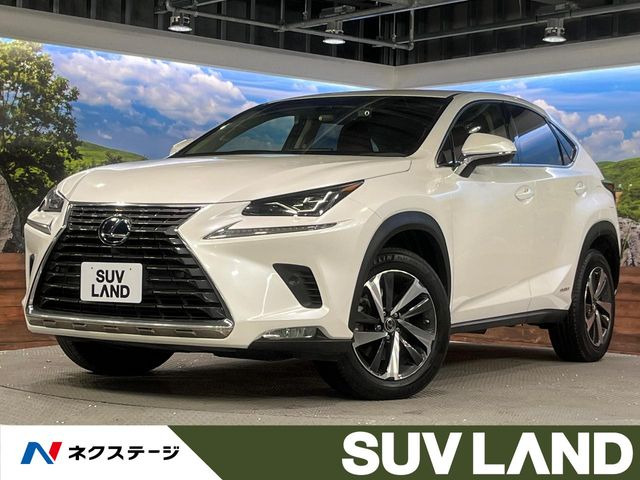 NX300h Iパッケージ