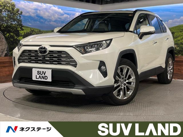 RAV4 2.0 G Zパッケージ 4WD （6BA-MXAA54）