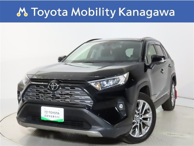 RAV4 2.0 G Zパッケージ 4WD（6BA-MXAA54）