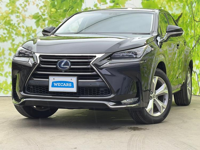 NX300h バージョンL