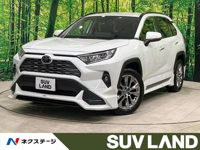 RAV4 2.0 G Zパッケージ 4WD （6BA-MXAA54）