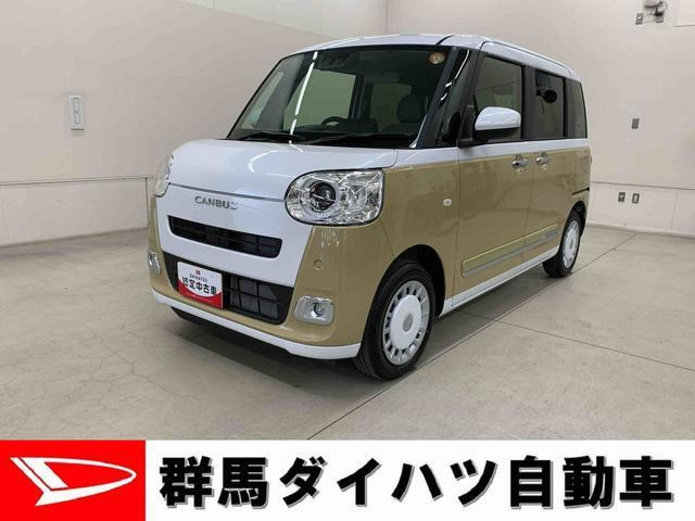 ムーヴキャンバス  ストライプス G