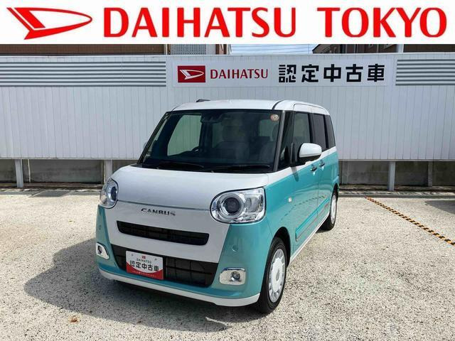 ムーヴキャンバス  ストライプス G