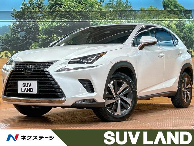 NX300 バージョンL