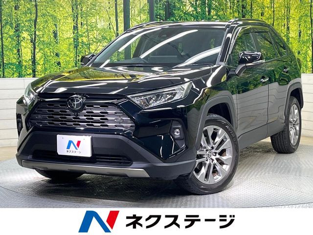RAV4 2.0 G Zパッケージ 4WD （6BA-MXAA54）