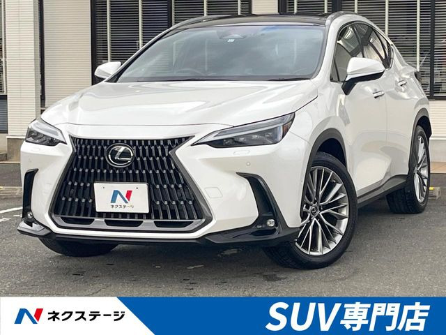 NX 350h バージョンL （6AA-AAZH20）