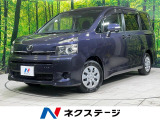 寒冷地仕様 電動スライドドア SDナビ バックカメラ HIDヘッド