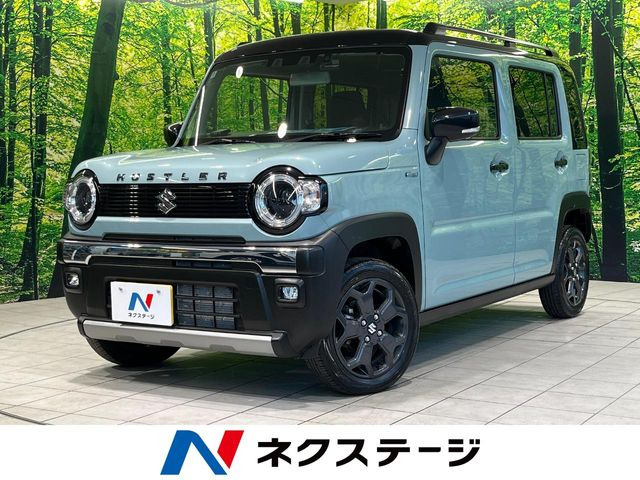 ハスラー タフワイルド 