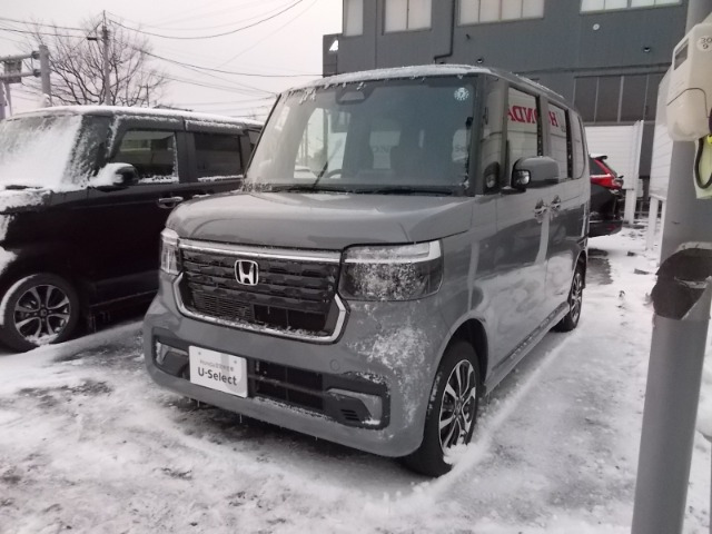 N-BOXカスタムコーディネートスタイル モノトーン 4WD