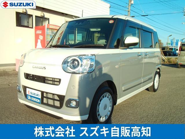 ムーヴキャンバス ストライプス G