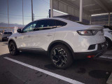 クーペSUV、新ジャンルのお車。クーペならではのルックス、かつ実用性も兼ね備えています
